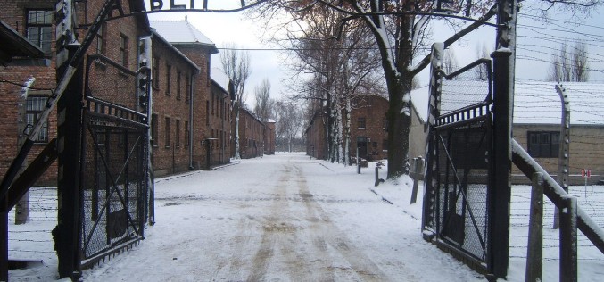 My, dzieci z Auschwitz