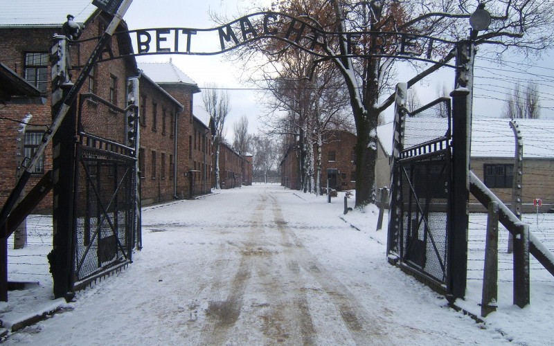 My, dzieci z Auschwitz