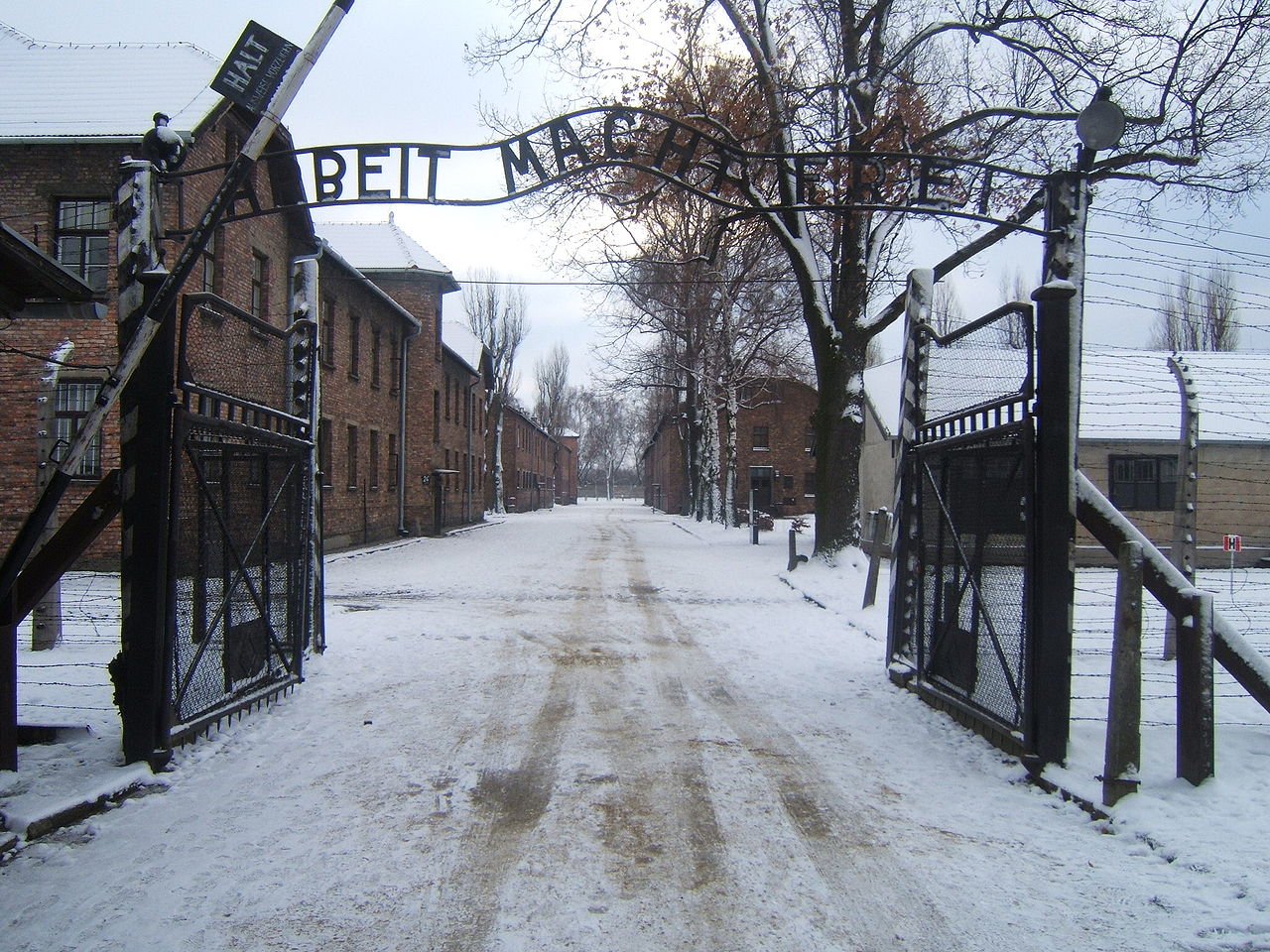 My, dzieci z Auschwitz