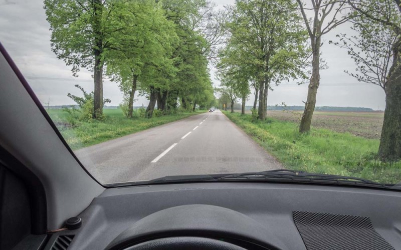 Najczęściej zabija głupota, nie drzewa