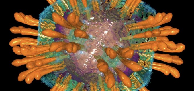 Jest lek na wirusa HCV