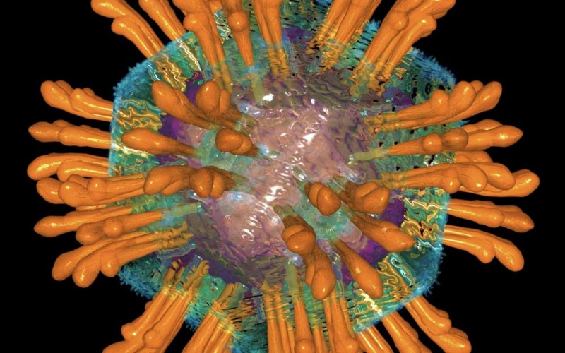 Jest lek na wirusa HCV