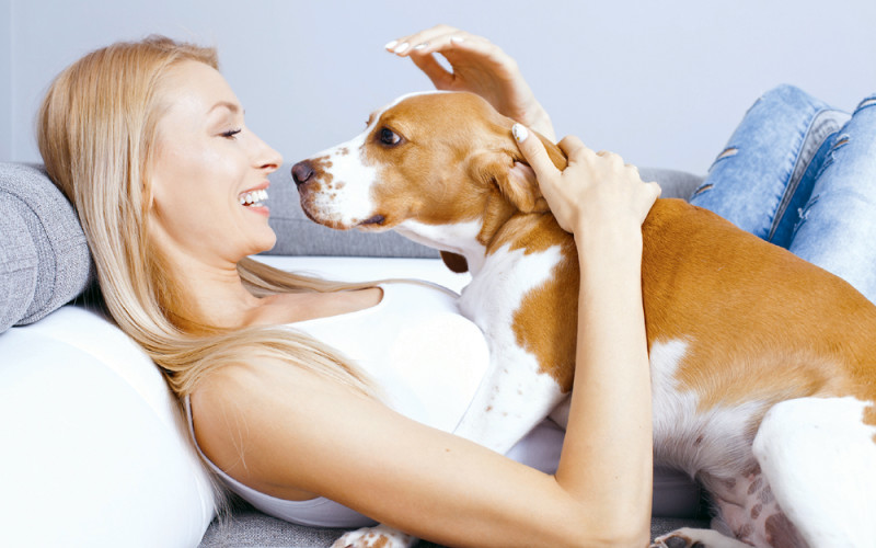 Czego nie robić psu i kotu