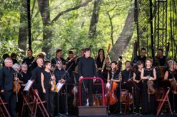 Filharmonia Narodowa zaprasza na koncerty plenerowe z cyklu „Klasycznie na trawie”
