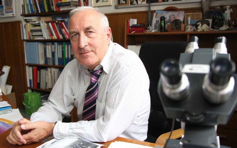 Białaczka jak znarowiony koń