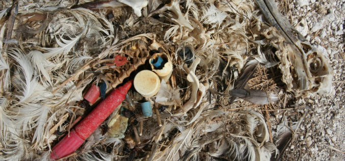 Nowa epoka: żyjemy w antropocenie