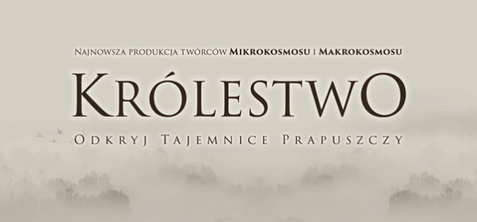 Królestwo w&nbsp;kinach od&nbsp;16 września