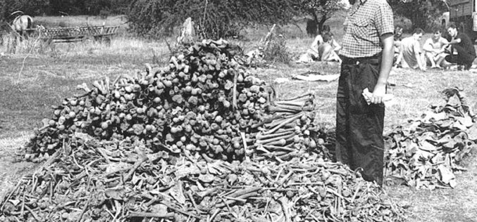 Wołyń – przemilczana historia