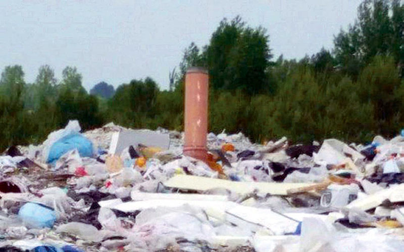 Paragrafem w fundację