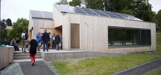 Nich reszta zzielenieje z zazdrości