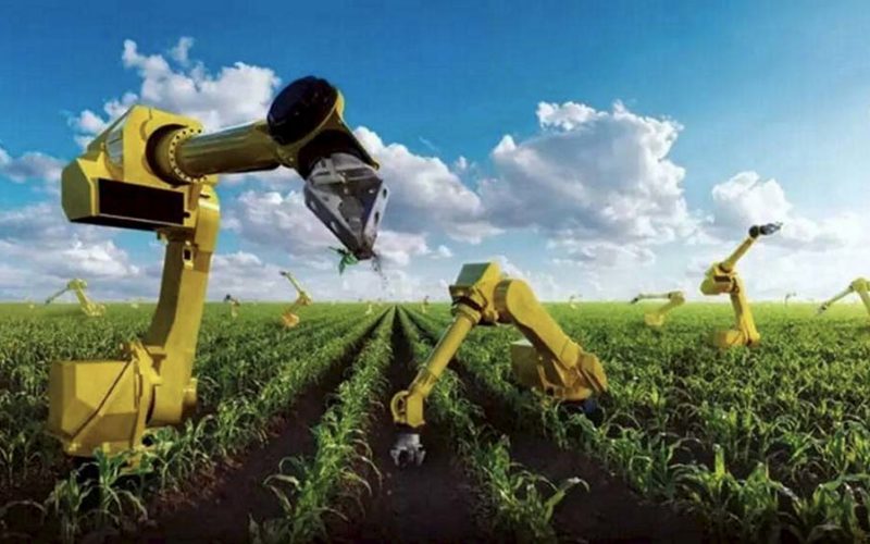 Najważniejsze pytania Ziemian