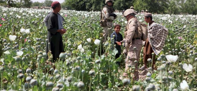 Zachód – sponsor terroryzmu