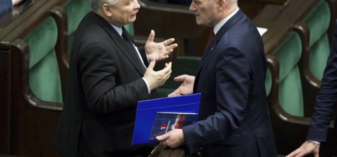 Kto zyskał? Kto stracił, a kto rozczarował w 2016 roku?