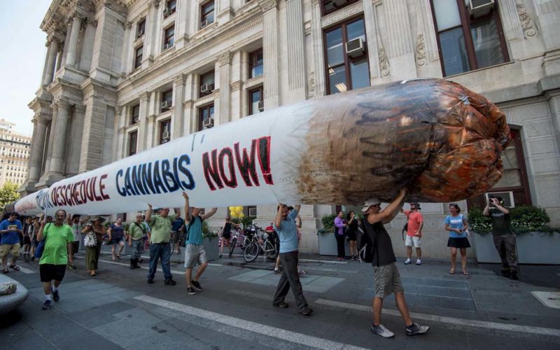 Stany własnej demokracji