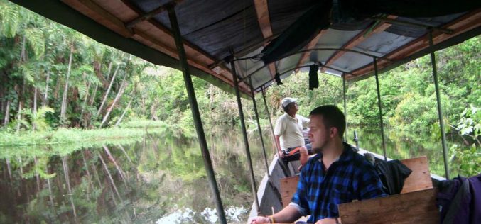 Na łasce dzikiej dżungli