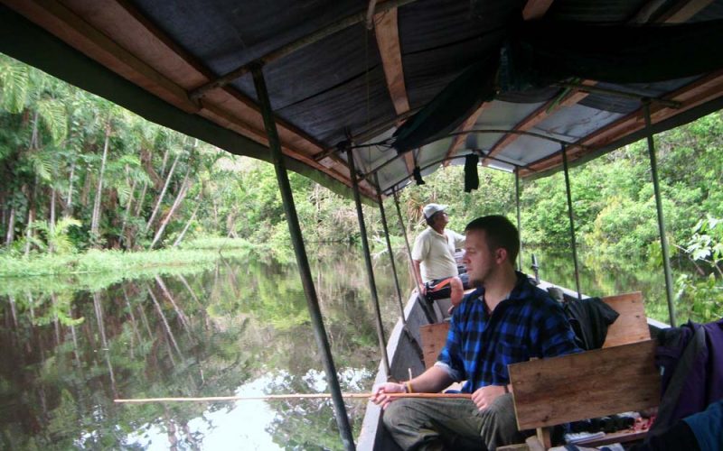 Na łasce dzikiej dżungli