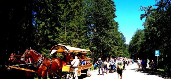 Góralu, czy ci nie żal?