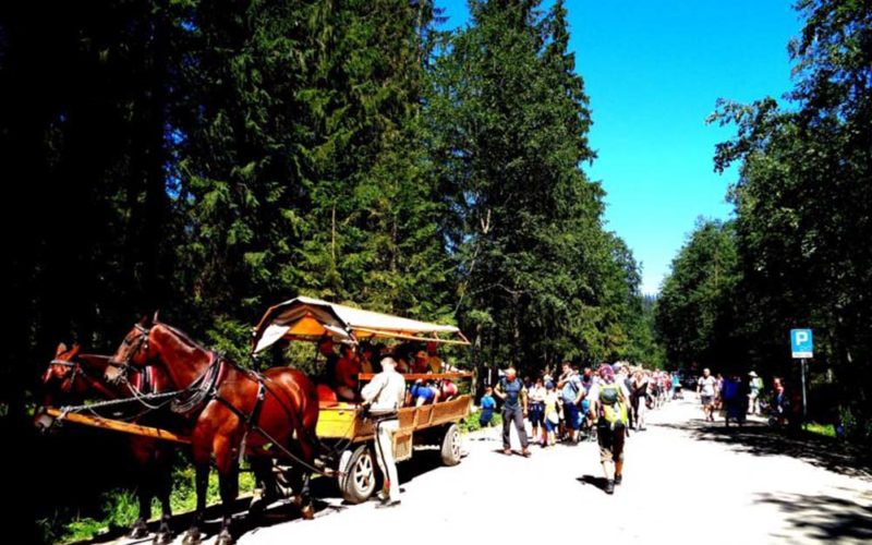 Góralu, czy ci nie żal?