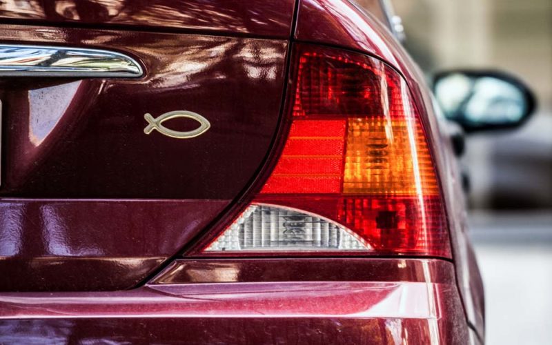 Człowiek z&nbsp;rybą