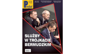 Okładka PRZEGLĄDU nr 44/2017
