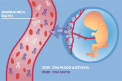 Kilka kropli krwi wystarcza, by wykluczyć choroby genetyczne płodu