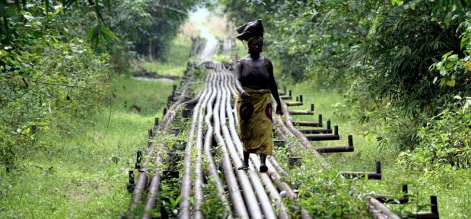 Jak globalne korporacje urządzają świat