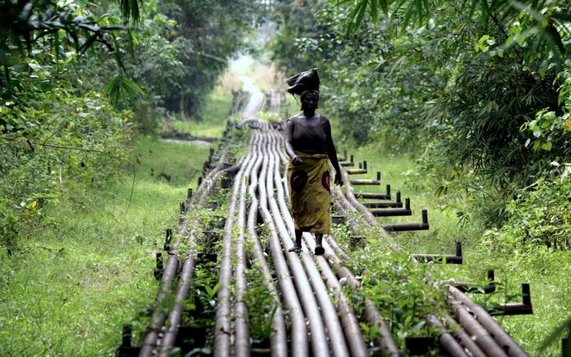 Jak globalne korporacje urządzają świat