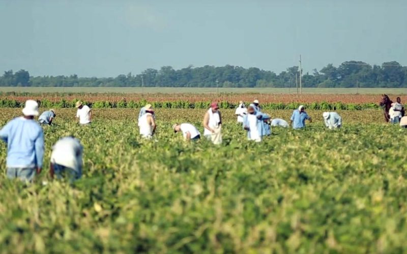 Niewolnictwo XXI wieku