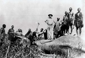 Niemiecki osadnik z członkami plemienia Herero podczas polowania na słonie, 1935 r.