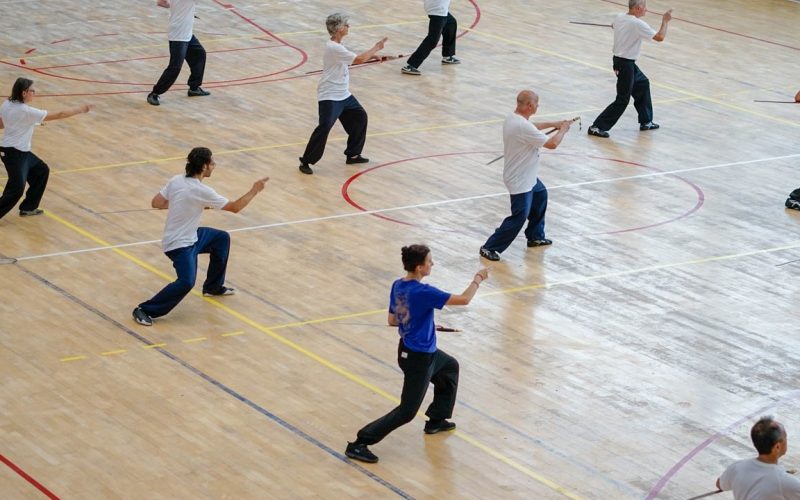 Europejskie święto Taiji