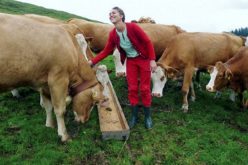 Pasterki na wysokościach