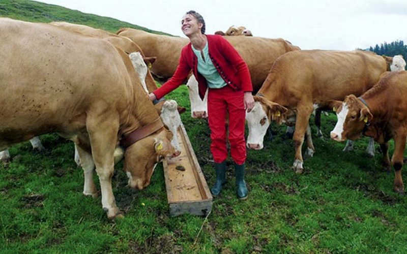 Pasterki na wysokościach