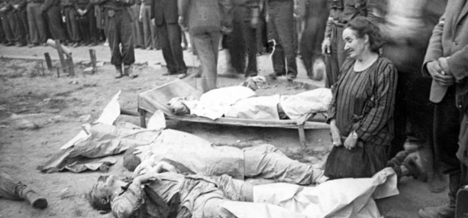 Niech policzą nasze trupy