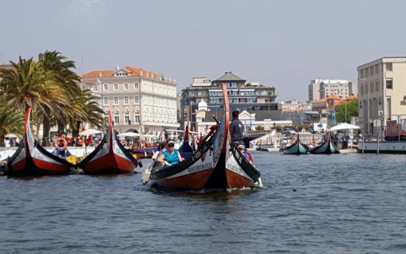 Esencja jajecznego sukcesu