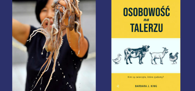 Nieśmiałe i odczuwające