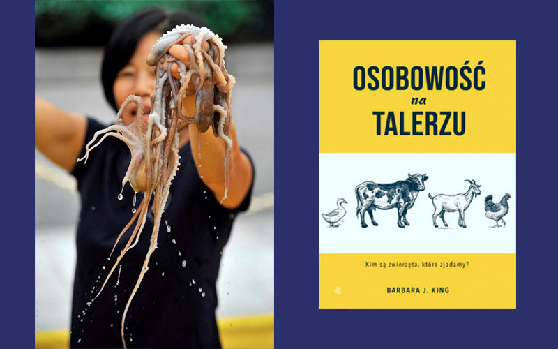 Nieśmiałe i odczuwające