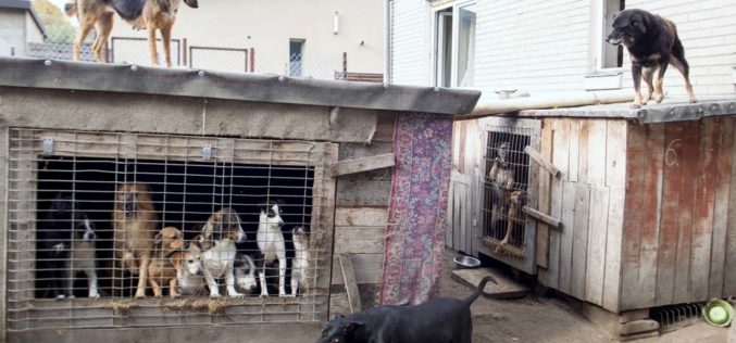 Nie kop, nie bij, nie oślepiaj