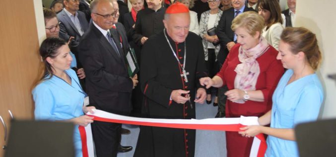 Wariatkowo, czyste wariatkowo