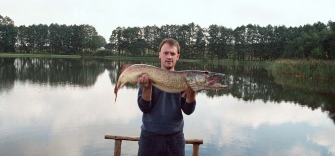 Barrakuda polskich wód