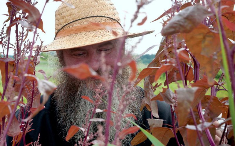 Przyjmij mnie, pustynio