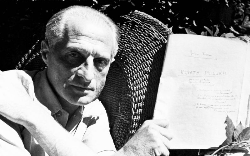 Utarczki z miejscowymi kretynami