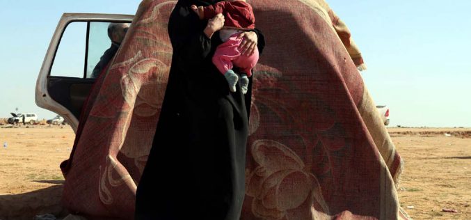 Sąd nad euroislamistami