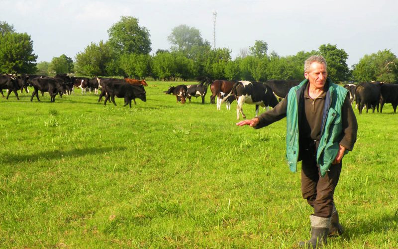 Nie wiem, czy bez zwierząt potrafię żyć