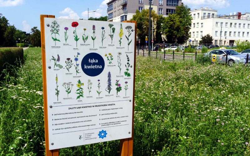 Miejskie łąki zamiast klepiska