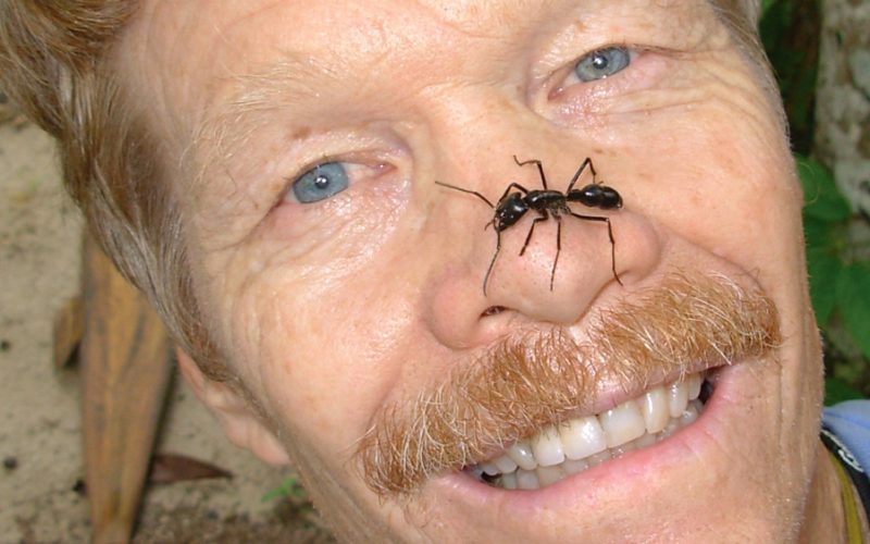 Cierpienie w imię nauki