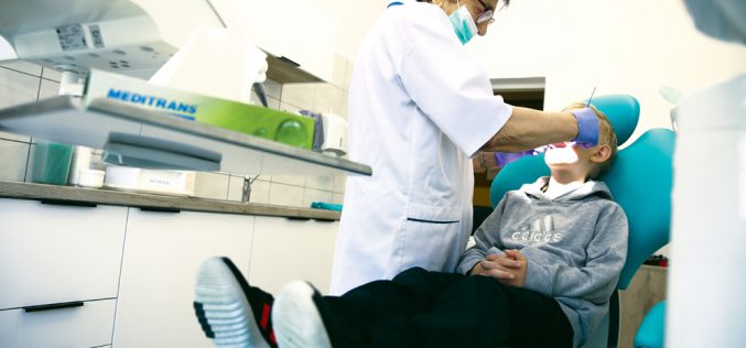 PiS grzebie w zębach