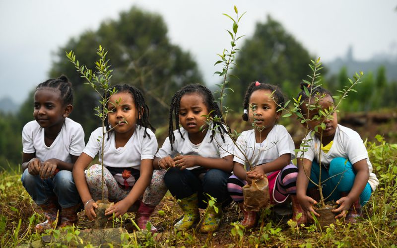 Tęsknota za butelkami na wymianę