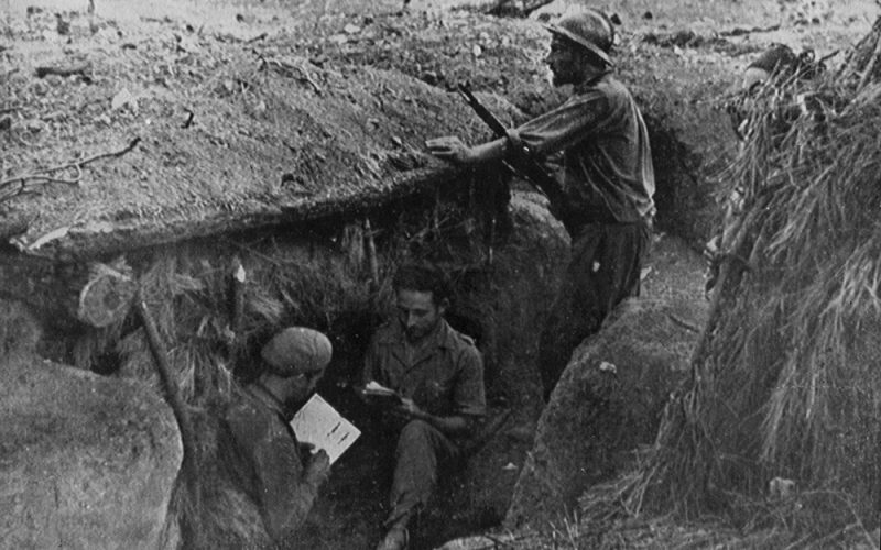 Losy z krwi i kości