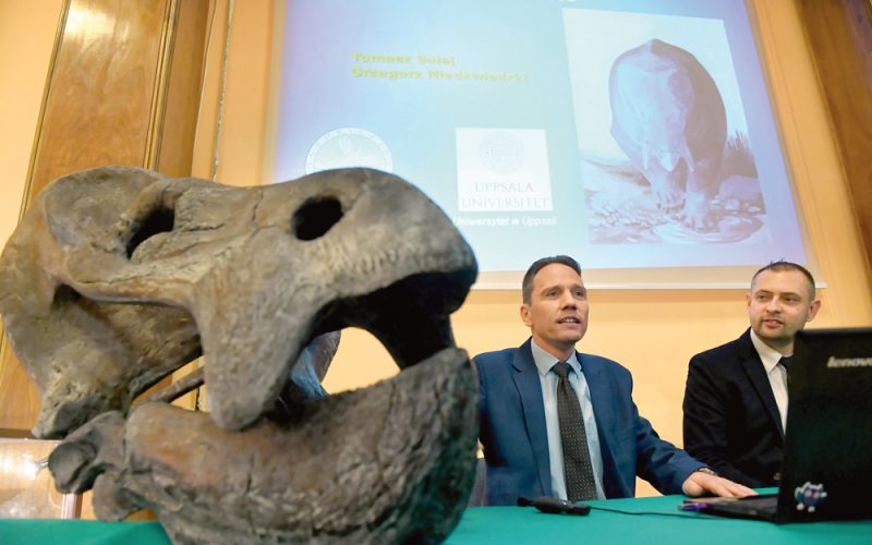 Co udało się odkryć Polakom w 2019 roku