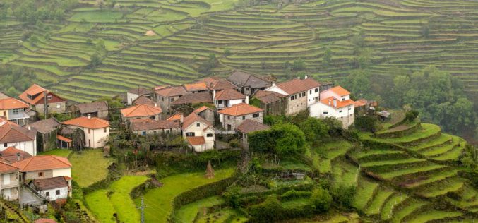 Lit – skarb, który dzieli Portugalczyków